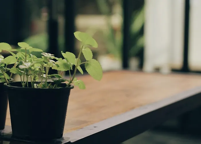 Mint Hostel Bangkok